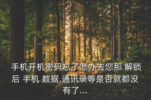 手機(jī)解鎖數(shù)據(jù)丟失
