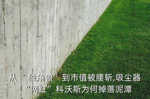 從“ 獨角獸”到市值被腰斬,吸塵器“網(wǎng)紅”科沃斯為何掉落泥潭