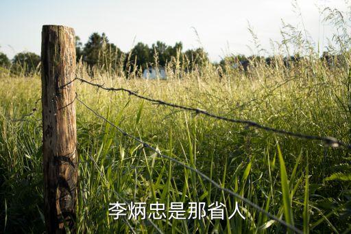  李炳忠是那省人
