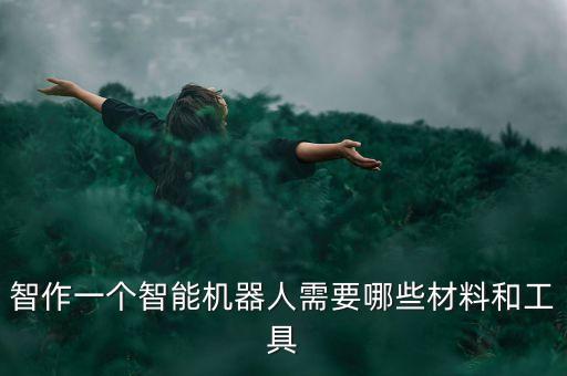 智作一個(gè)智能機(jī)器人需要哪些材料和工具