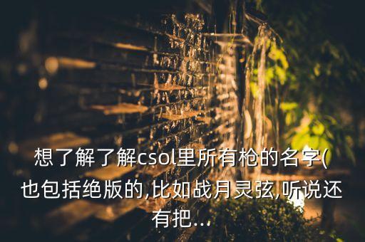 想了解了解csol里所有槍的名字(也包括絕版的,比如戰(zhàn)月靈弦,聽說還有把...