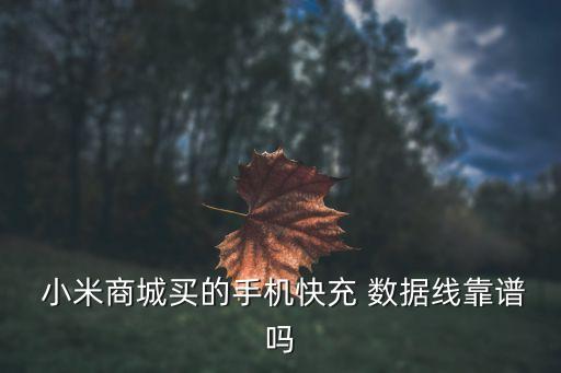  小米商城買的手機快充 數(shù)據(jù)線靠譜嗎