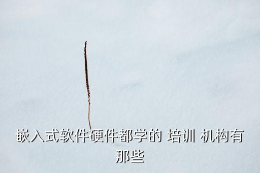 單片機培訓(xùn)機構(gòu),深圳單片機培訓(xùn)機構(gòu)