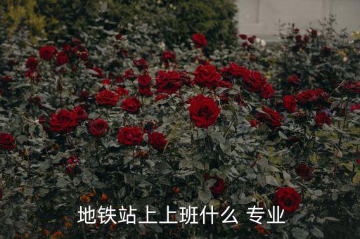 地鐵站上上班什么 專業(yè)