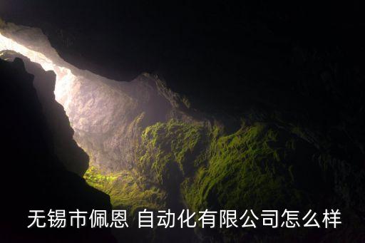  無錫市佩恩 自動化有限公司怎么樣