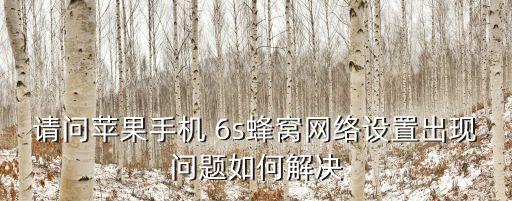 6s 允許使用無線數(shù)據(jù)