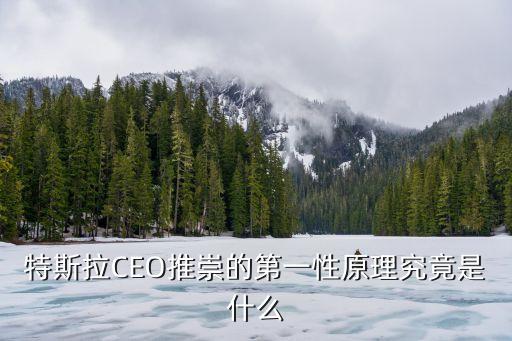 特斯拉CEO推崇的第一性原理究竟是什么