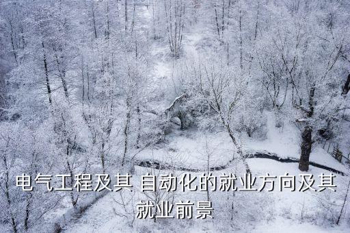自動化專業(yè)去供電局干啥活,繼保自動化專業(yè) 供電局