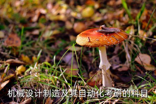 復(fù)試自動(dòng)化科目有哪些專業(yè),自動(dòng)化考研復(fù)試科目有哪些?