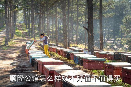順隆公館怎么樣好不好值不值得買