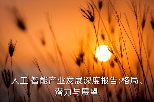 人工 智能產(chǎn)業(yè)發(fā)展深度報(bào)告:格局、潛力與展望