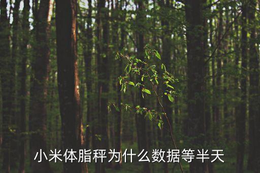 小米體脂無體脂數(shù)據(jù),怎么看體脂?