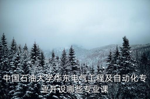 中國石油大學(xué)華東電氣工程及自動(dòng)化專業(yè)開設(shè)哪些專業(yè)課