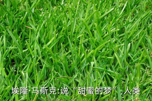 埃隆·馬斯克:說(shuō)“甜蜜的夢(mèng)”,人類