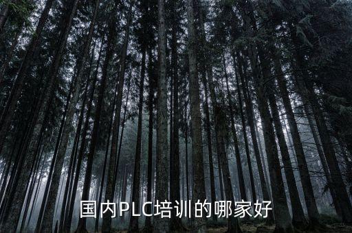 國(guó)內(nèi)PLC培訓(xùn)的哪家好