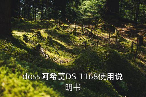 doss阿希莫DS 1168使用說(shuō)明書(shū)