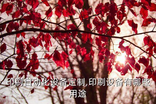 江門印刷自動化設(shè)備定制,印刷設(shè)備有哪些用途?