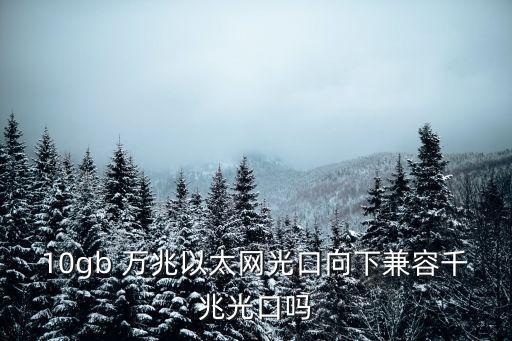 10gb 萬(wàn)兆以太網(wǎng)光口向下兼容千兆光口嗎
