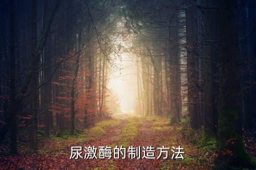 尿激酶的制造方法