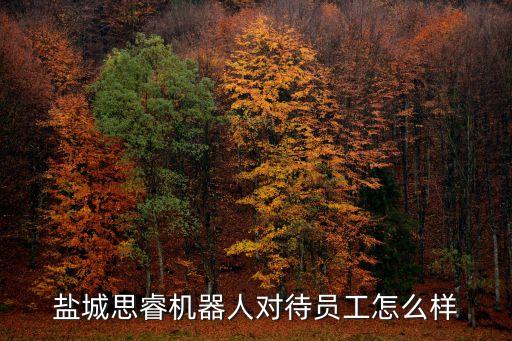 鹽城思睿機(jī)器人對(duì)待員工怎么樣