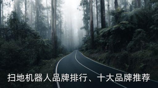 大到機器人,中國電子學會:工業(yè)機器人是自動化時代典型標志