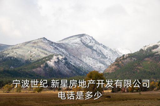  寧波世紀(jì) 新星房地產(chǎn)開發(fā)有限公司電話是多少