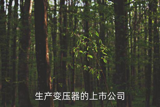 生產(chǎn)變壓器的上市公司