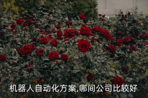 機(jī)器人自動(dòng)化方案,哪間公司比較好