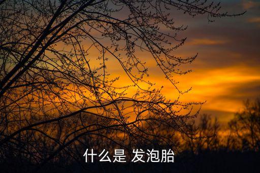 什么是 發(fā)泡胎