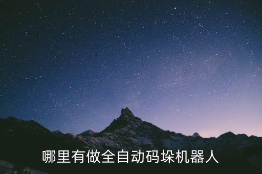 哪里有做全自動(dòng)碼垛機(jī)器人