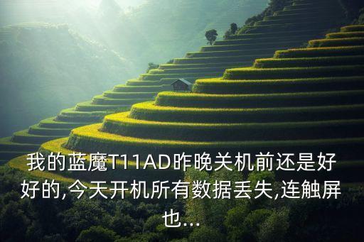 t11數(shù)據(jù)峰會(huì),電子計(jì)數(shù)秤bcs-t11怎么校正?