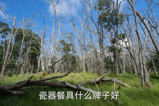 瓷器餐具什么牌子好