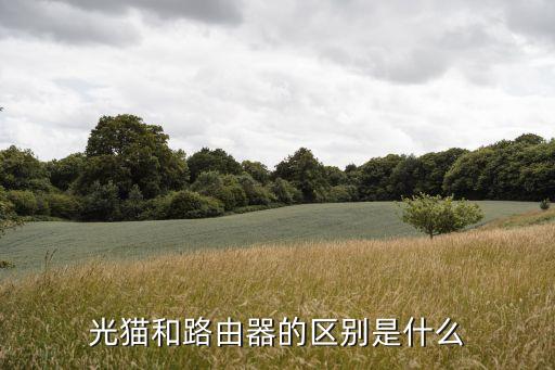 路由器和光貓,路由器和光貓有哪些不同?