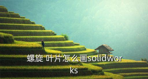 螺旋葉片