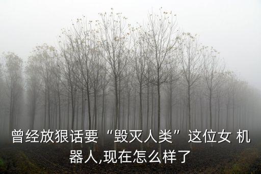 曾經(jīng)放狠話要“毀滅人類”這位女 機(jī)器人,現(xiàn)在怎么樣了