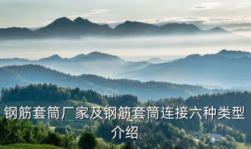 自動化鋼筋設備廠家直銷,鋼筋加工設備有哪些?