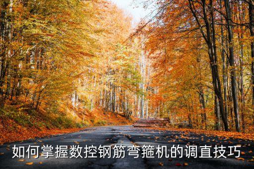 遠通自動化鋼筋設(shè)備,如何掌握數(shù)控自動彎箍機調(diào)直技巧?