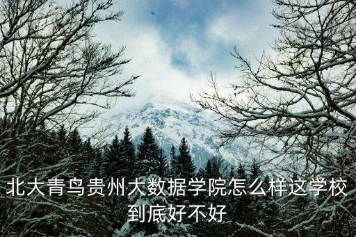 北大青鳥貴州大數(shù)據(jù)學(xué)院怎么樣這學(xué)校到底好不好