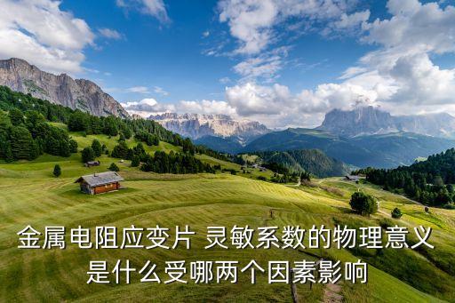 金屬電阻應(yīng)變片 靈敏系數(shù)的物理意義是什么受哪兩個(gè)因素影響