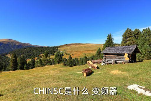 CHINSC是什么 變頻器