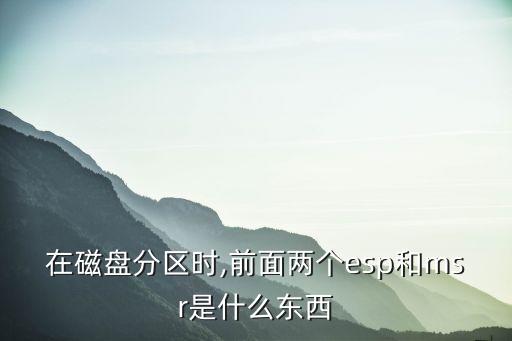 在磁盤分區(qū)時,前面兩個esp和msr是什么東西