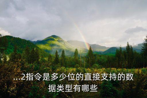 ...2指令是多少位的直接支持的數(shù)據(jù)類型有哪些
