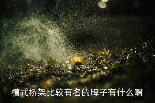 槽式橋架比較有名的牌子有什么啊
