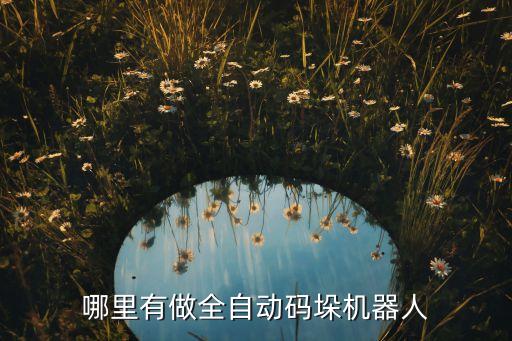 山東東儀自動(dòng)化設(shè)備有限,山東有什么自動(dòng)化設(shè)備公司?