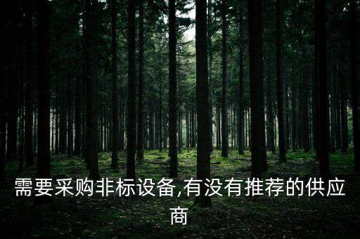 需要采購(gòu)非標(biāo)設(shè)備,有沒(méi)有推薦的供應(yīng)商
