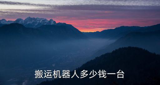 搬運(yùn)機(jī)器人多少錢一臺