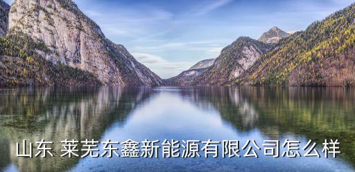 山東 萊蕪東鑫新能源有限公司怎么樣