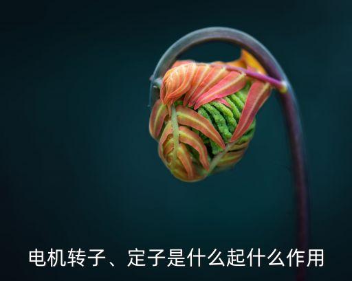 電機(jī)轉(zhuǎn)子、定子是什么起什么作用