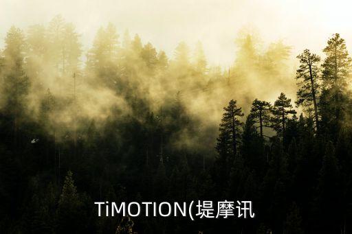 TiMOTION(堤摩訊