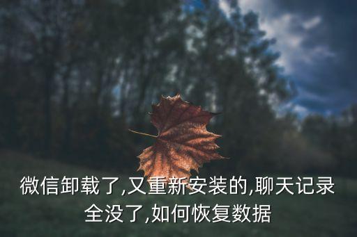 微信卸載了,又重新安裝的,聊天記錄全沒了,如何恢復(fù)數(shù)據(jù)
